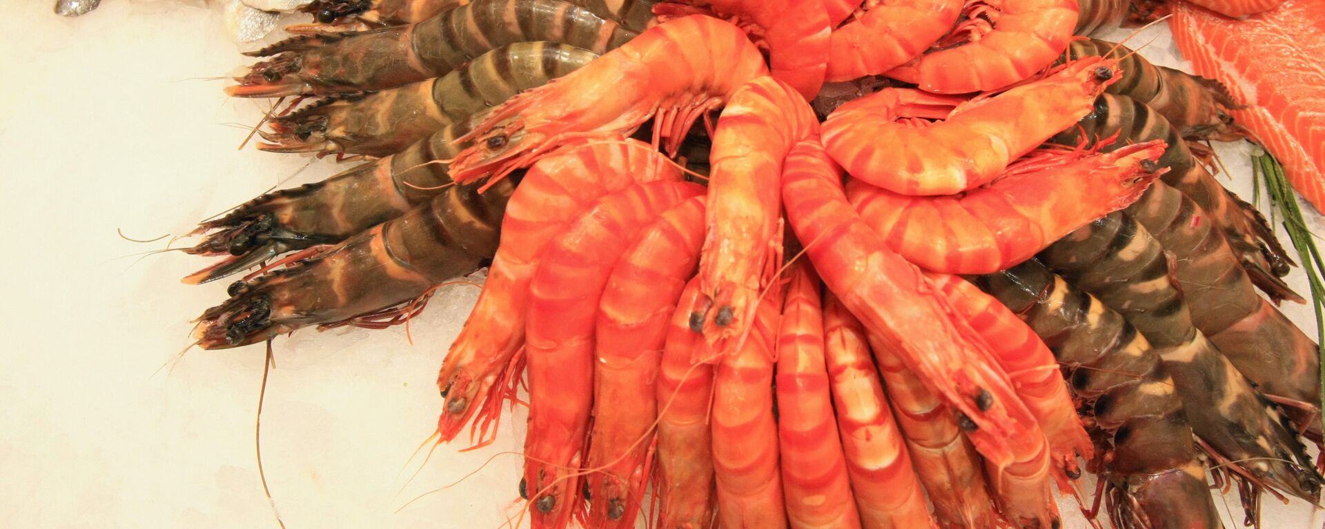 东方经济论坛将用远东蟹肉、贝肉、大虾迎宾客 - 俄罗斯卫星通讯社, 1920, 02.09.2016