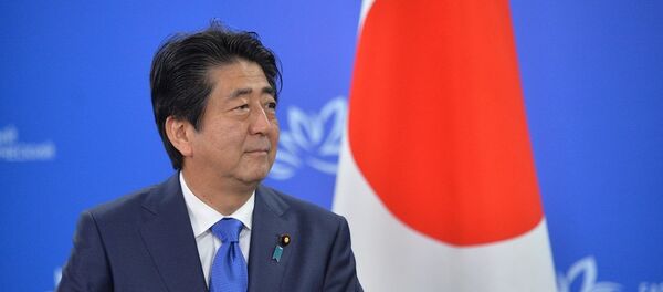 媒体报道称，日本首相计划2017年初访俄，讨论和平条约签署问题 - 俄罗斯卫星通讯社