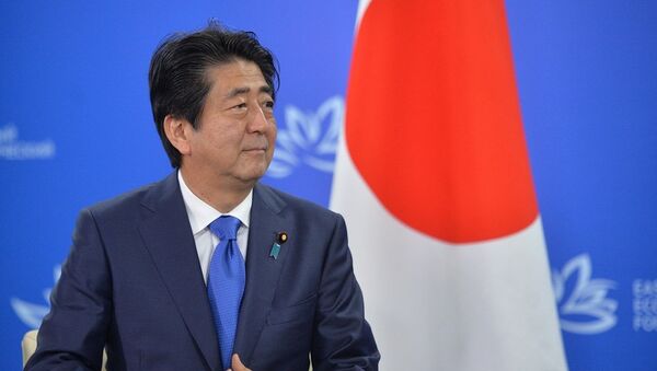 日本首相：若美退出跨太平洋伙伴关系协定将失去意义 - 俄罗斯卫星通讯社
