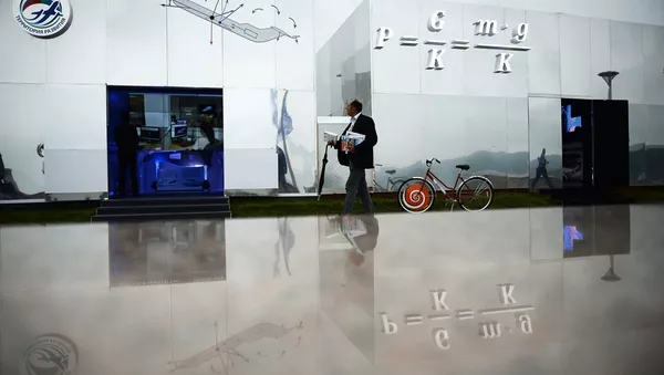中國投資商對俄超前發展區予以高度評價 - 俄羅斯衛星通訊社