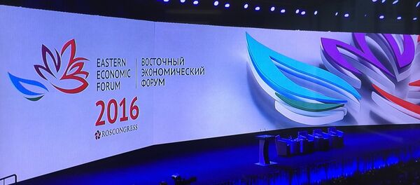 中俄投資基金高級副總裁:俄遠東地區應著重發展出口加工型企業 中俄投資基金高級副總裁:俄遠東地區應著重發展出口加工型企業 - 俄羅斯衛星通訊社