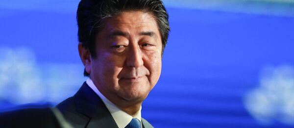 日本首相称将努力在与俄峰会上就和平条约问题取得进展 日本首相称将努力在与俄峰会上就和平条约问题取得进展 - 俄罗斯卫星通讯社