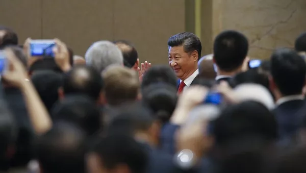 中國倡導的國際經濟治理新機制不針對任何國家 - 俄羅斯衛星通訊社
