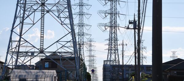 亚洲能源环:项目实施的机会如何? 亚洲能源环:项目实施的机会如何? - 俄罗斯卫星通讯社