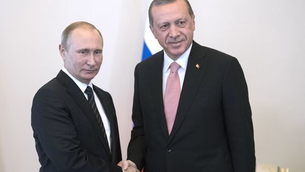 俄土總統在伊斯坦布爾討論國防合作議題 - 俄羅斯衛星通訊社