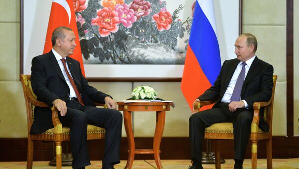 普京計劃與埃爾多安在杭州討論恢復俄土全面合作問題 - 俄羅斯衛星通訊社