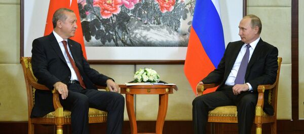 普京计划与埃尔多安在杭州讨论恢复俄土全面合作问题 - 俄罗斯卫星通讯社