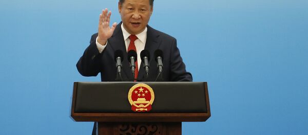 习近平欢迎G20 峰会参加者   - 俄罗斯卫星通讯社