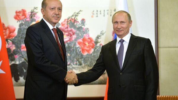 俄罗斯与土耳其总统 - 俄罗斯卫星通讯社