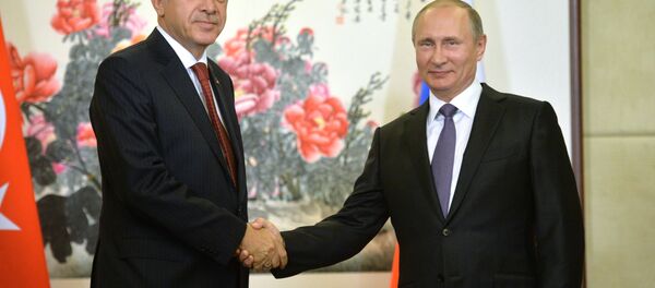 俄罗斯与土耳其总统 俄罗斯与土耳其总统 - 俄罗斯卫星通讯社