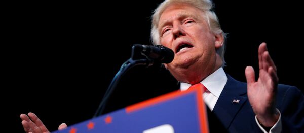 民调：美国人认为特朗普比克林顿更擅长搞经济 - 俄罗斯卫星通讯社