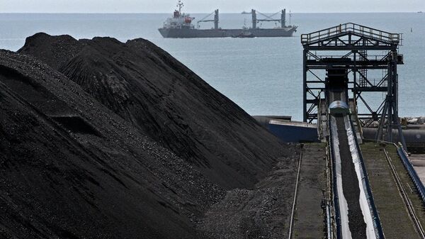 2017年起通過東方港運輸的“科爾馬”煤炭將達200萬噸 - 俄羅斯衛星通訊社