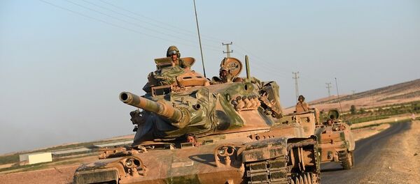 伊朗外交部：土耳其在叙任何行动都应与大马士革协调 - 俄罗斯卫星通讯社