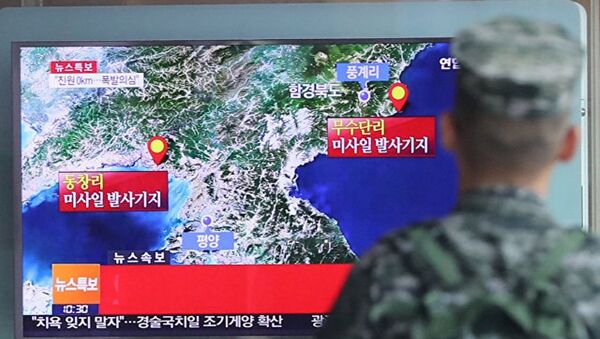 朝鲜官员称核试验并非针对日本 - 俄罗斯卫星通讯社