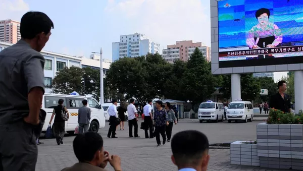 專家：國際社會找不到約束朝鮮的辦法 - 俄羅斯衛星通訊社