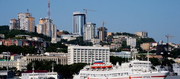 俄联邦自然资源利用监督局将核查有关符拉迪沃斯托克海湾被石油产品污染的信息 - 俄罗斯卫星通讯社