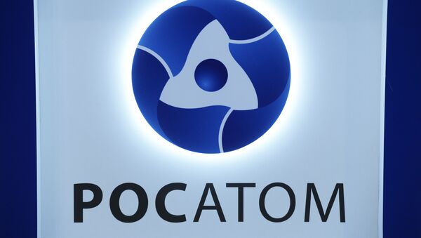 普京：俄国家原子能公司已成为世界核技术市场的绝对领导者 - 俄罗斯卫星通讯社