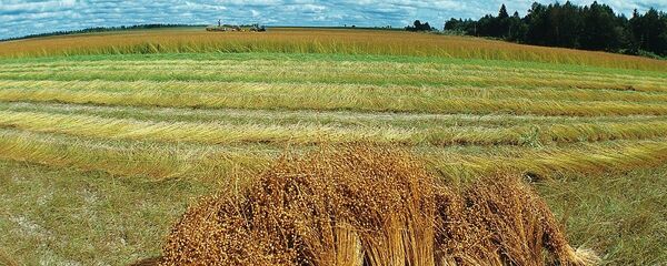 鄂木斯克向中國出口首批亞麻 - 俄羅斯衛星通訊社