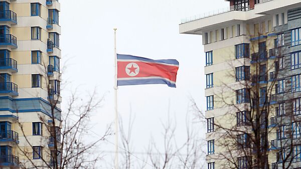 消息人士称，朝鲜外务省代表抵达莫斯科 - 俄罗斯卫星通讯社