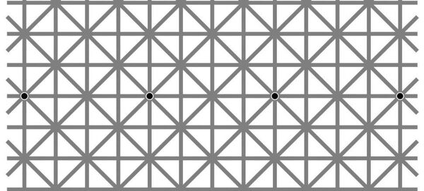 网络用户为看带12个黑点的视错觉图像绞尽脑汁 - 俄罗斯卫星通讯社