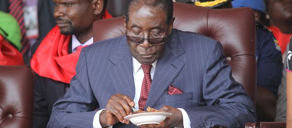 津巴布韋總統穆加貝 津巴布韋總統穆加貝 - 俄羅斯衛星通訊社