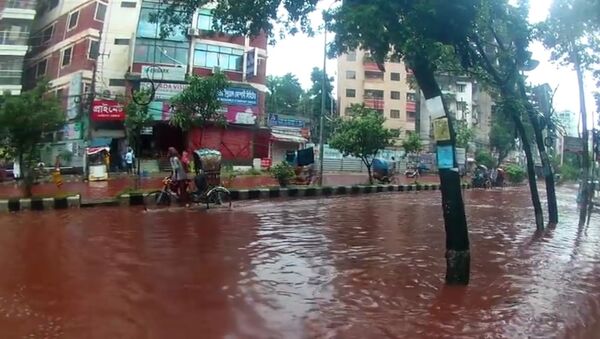 孟加拉国首都因宰牲节“血流成河” - 俄罗斯卫星通讯社