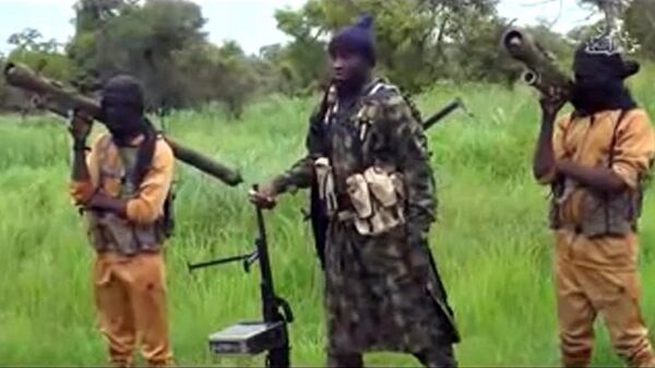 40多名博科圣地武装分子在尼日利亚乍得湖行动中被击毙 - 俄罗斯卫星通讯社