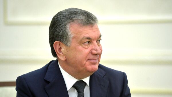 乌国总统：塔利班承诺过一粒子弹也不会飞向乌兹别克斯坦 - 俄罗斯卫星通讯社