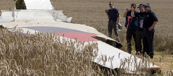 俄志愿者报告揭Bellingcat网站在马航乌克兰空难事故调查上造假 - 俄罗斯卫星通讯社