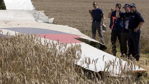 俄駐澳大使稱MH17空難調查結果為“骯臟的挑釁” - 俄羅斯衛星通訊社