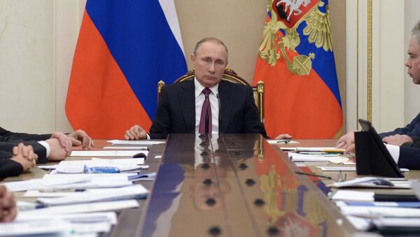 普京：俄将与他国合作 但需维护自己的利益 - 俄罗斯卫星通讯社