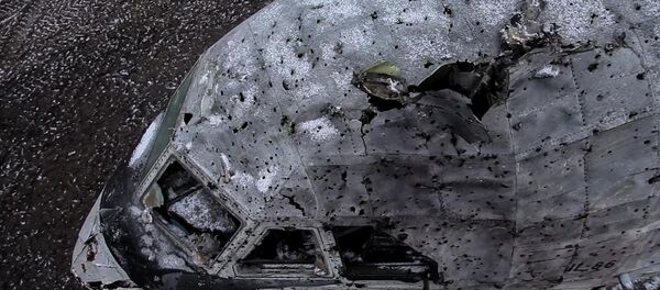 俄總檢察院：雷達數據否定馬航MH17空難調查組有關導彈發射地的結論 - 俄羅斯衛星通訊社