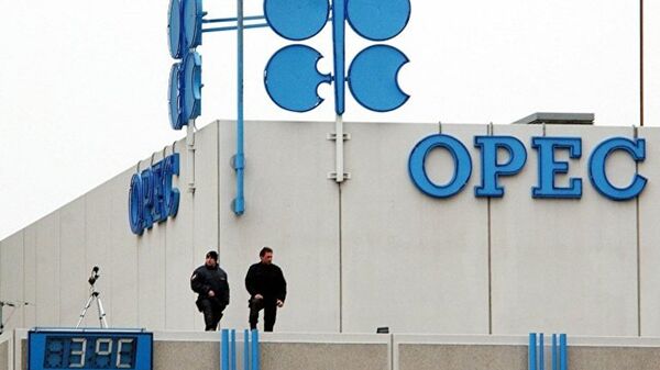 伊朗石油部長稱歐佩克面臨崩潰的威脅 - 俄羅斯衛星通訊社