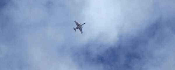 战机 - 俄罗斯卫星通讯社