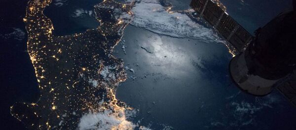 国际空间站发射带有“捕网”和“鱼叉”的卫星清洁工 - 俄罗斯卫星通讯社