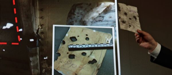 俄金刚石-安泰集团交出马航MH17坠毁时的空中环境数据 - 俄罗斯卫星通讯社