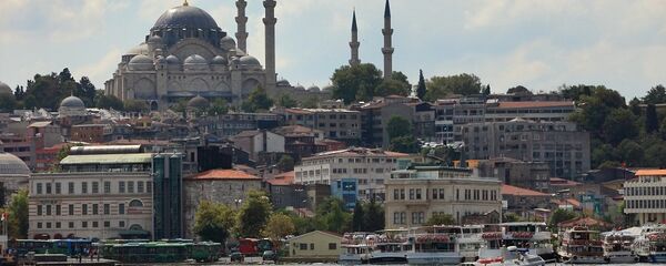 伊斯坦布尔的中国游客数量减少一半 - 俄罗斯卫星通讯社