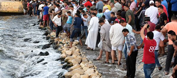 移民 - 俄罗斯卫星通讯社