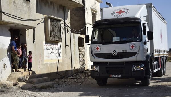 紅十字國際委員會：70多輛卡車為敘被困城市運送人道主義物資 - 俄羅斯衛星通訊社