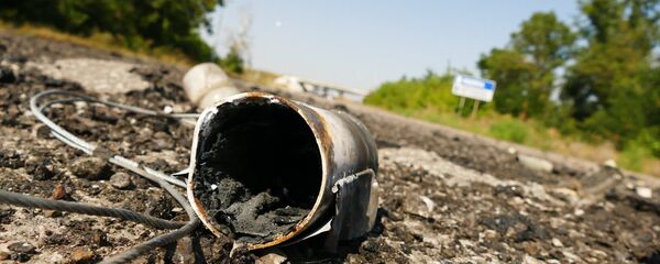 聯合國：烏克蘭頓巴斯衝突致受害平民人數4月份減少 - 俄羅斯衛星通訊社