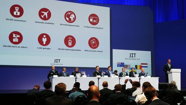 專家：MH17空難調查小組的聲明毫無根據 - 俄羅斯衛星通訊社
