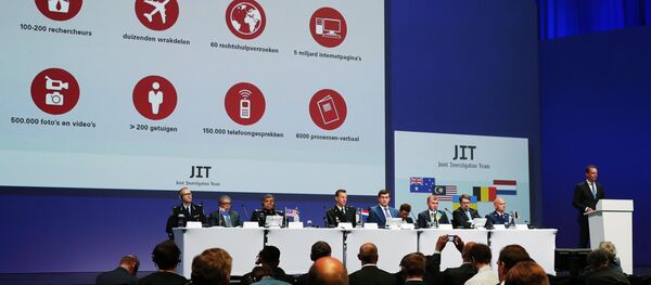 专家:MH17空难调查小组的声明毫无根据 专家:MH17空难调查小组的声明毫无根据 - 俄罗斯卫星通讯社