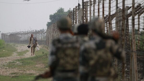 印度边防人员“扣押”一只来自巴基斯坦携带致莫迪信函的鸽子 - 俄罗斯卫星通讯社