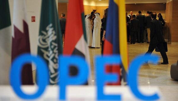 尼日利亞希望將歐佩克與非歐佩克產油國協議延長至今年年底 - 俄羅斯衛星通訊社