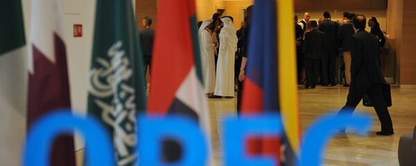 阿聯酋能源部：歐佩克將邀請美國頁岩油生產商出席維也納會議 - 俄羅斯衛星通訊社