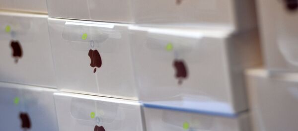 一名中国女子试图用iphone手机在卡卢加贿赂俄安全局雇员 - 俄罗斯卫星通讯社