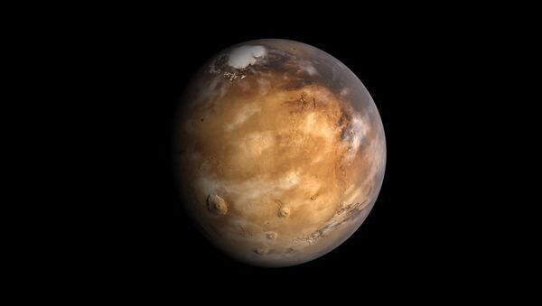 科学家发现登录火星将使航天员智商下降 - 俄罗斯卫星通讯社