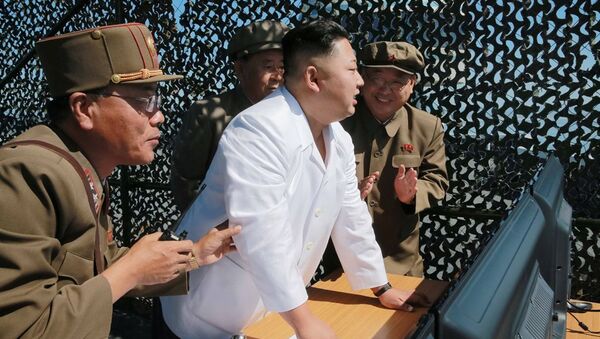 俄媒: 中国军事专家预言北朝鲜将垮台 - 俄罗斯卫星通讯社