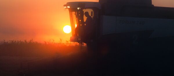 普京祝賀克拉斯諾達爾土地所有主大米豐收 - 俄羅斯衛星通訊社