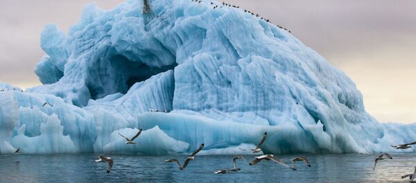 俄羅斯北極游最受中國遊客喜愛 俄羅斯北極游最受中國遊客喜愛 - 俄羅斯衛星通訊社